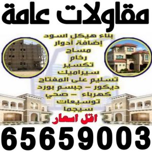 مقاولات عامة